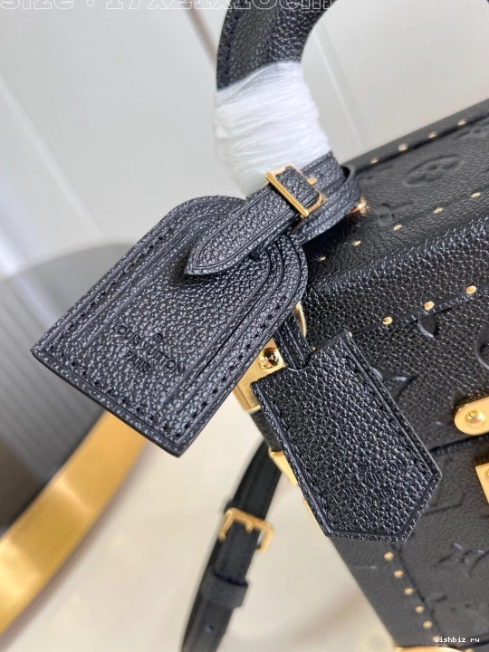 WIS VUITTON Box LOUIS Monogram Camera Canvas 1009